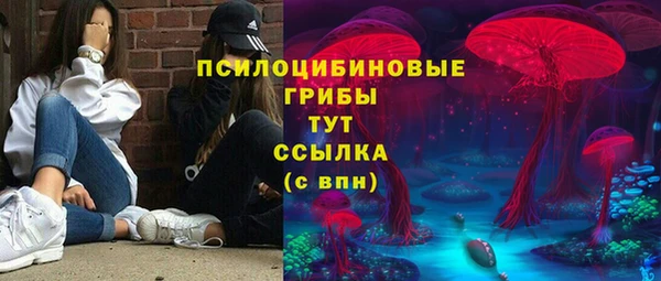 дживик Наволоки