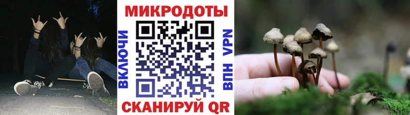 магазин наркотиков Санкт-Петербург KRAKEN как войти Галлюциногенные грибы GOLDEN TEACHER